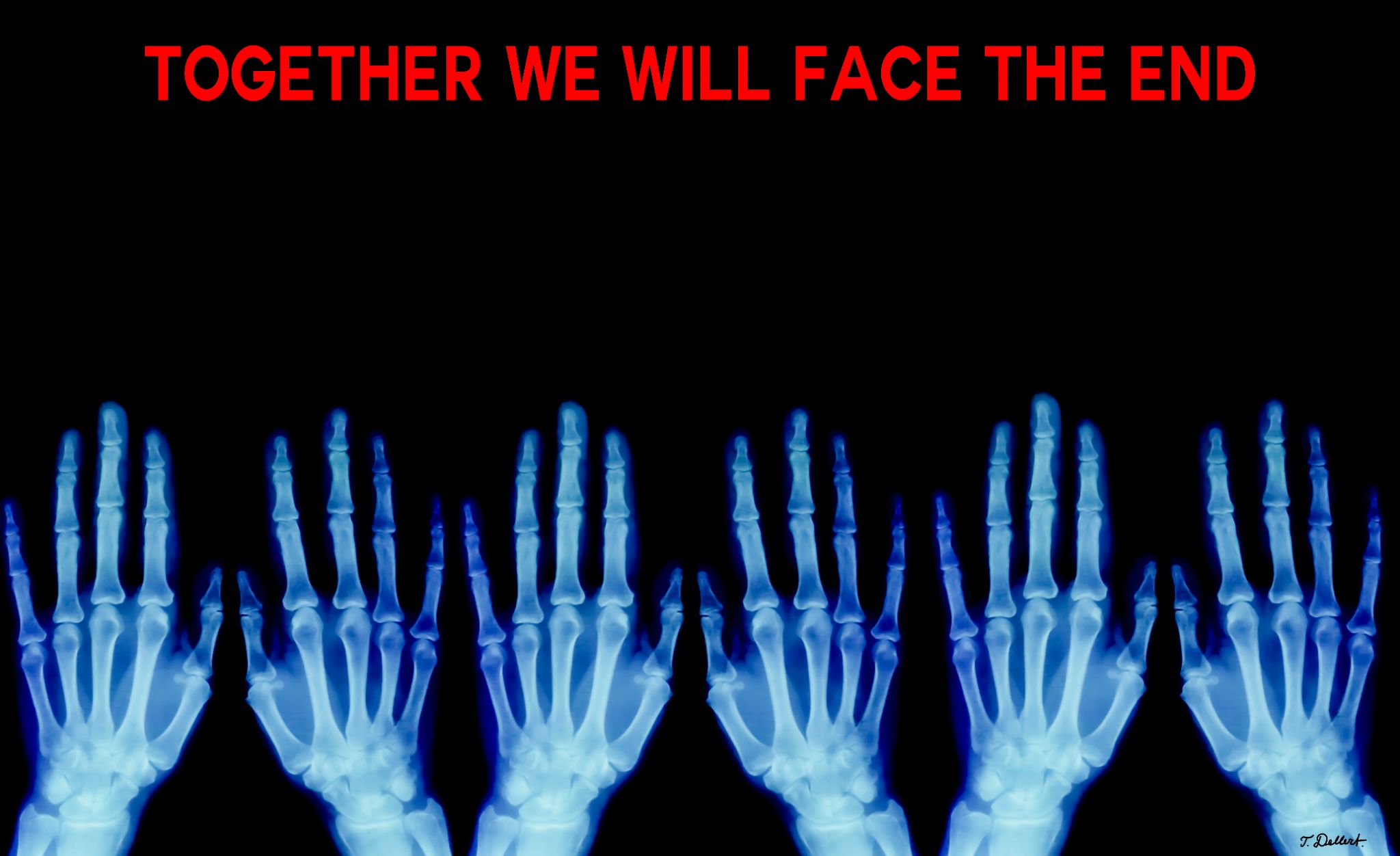 Together  to the end 